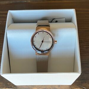 Skagen Rose Gold Watch with Tan Strap